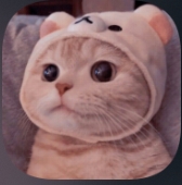 猫猫云VPN（便宜高速）